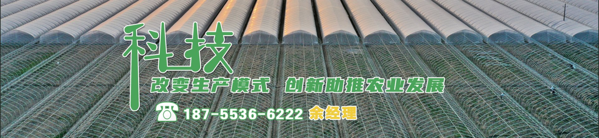 全国服务热线：